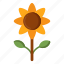 sunflower, flower, nature, plant 