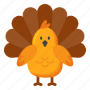 turkey, bird, chicken, animal