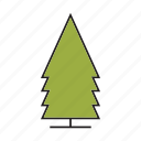 christmas tree, forest, nature, pine, plant, tree
