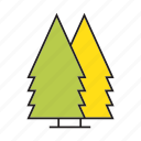 autumn, christmas tree, forest, nature, pine, plant, tree