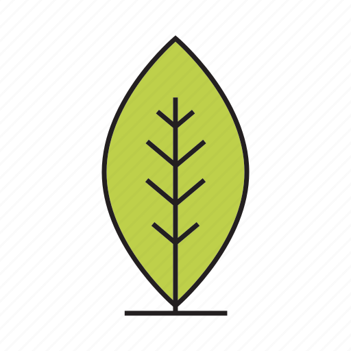 Bush, flora, forest, leaf, nature, plant, tree icon - Download on Iconfinder