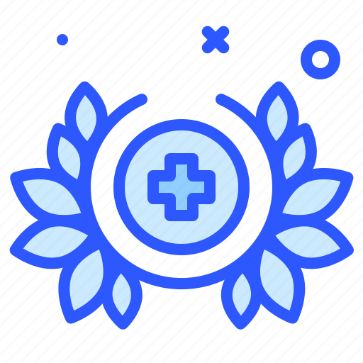 Medical, award, certified icon - Download on Iconfinder