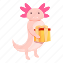 axolotl, gift, box