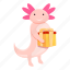 axolotl, gift, box 