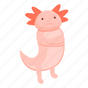 sad, axolotl