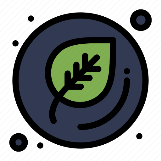 Education, leaf, school icon - Download on Iconfinder