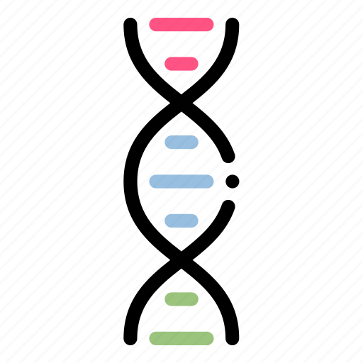 Dna, school, science, genetic, biology, biochemistry, spiral icon - Download on Iconfinder