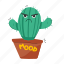 cactus, angry cactus, potted plant, prickly plant, desert plant 