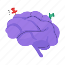 brain, brainstorm, mind, human brain, neuroscience