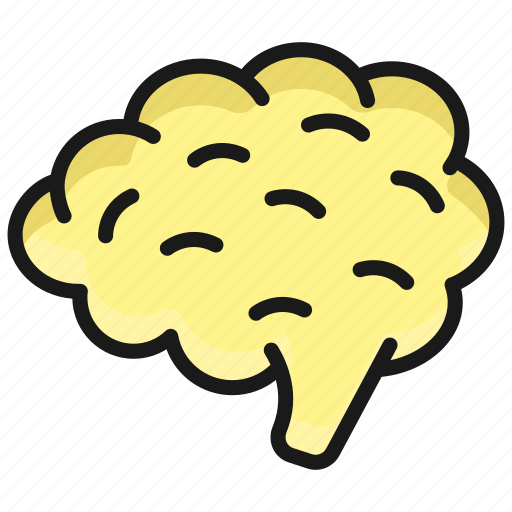 Brain, mind, head, thinking, intelligence icon - Download on Iconfinder