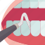 dentistry, oral, tooth, examination, checkup 