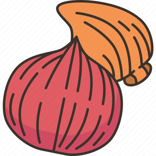 Garlic, onion, food, odor, smell icon - Download on Iconfinder