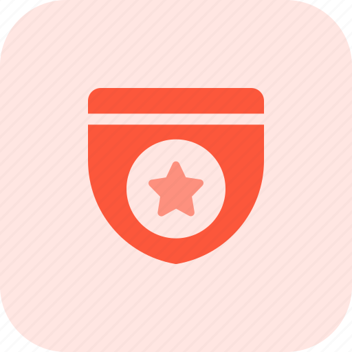 Star, circle, medal, guard icon - Download on Iconfinder