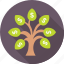 branches, currency, dollar, money plant, tree 