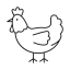 rooster, animal, agriculture, chicken, farm 