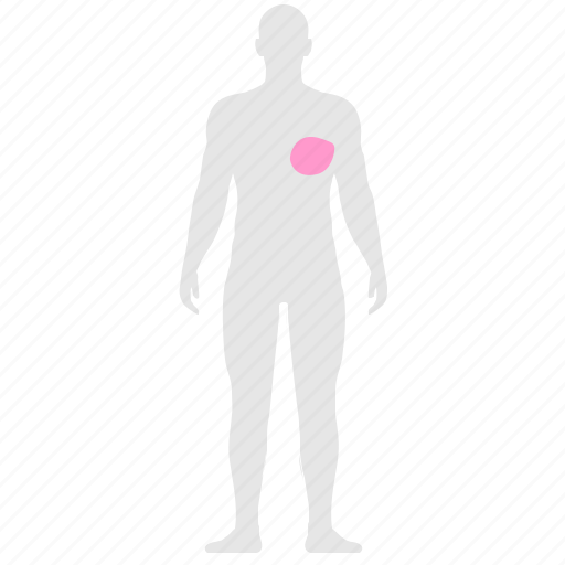 Body, heart, human, insult, organ, pain, illness icon - Download on Iconfinder