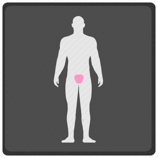 Genital, health, man, pain, problem, ray, xray icon - Download on Iconfinder
