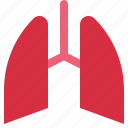 lung, respiratory, organ, anatomy, breath, coronavirus