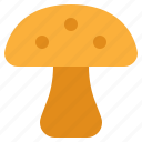 mushroom, shroom, food, fungi, poisonous, edible, fungus