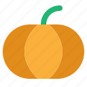 pumpkin, vegetable, halloween, autumn, harvest, squash