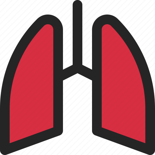 Lung, respiratory, organ, anatomy, breath, coronavirus icon - Download on Iconfinder