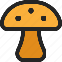 mushroom, shroom, food, fungi, poisonous, edible, fungus
