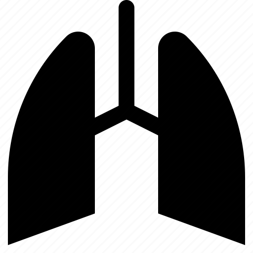 Lung, respiratory, organ, anatomy, breath, coronavirus icon - Download on Iconfinder