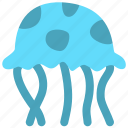 jellyfish, animal, ocean, beach