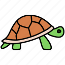 turtle, tortoise, reptile, pet