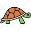 turtle, tortoise, reptile, pet 