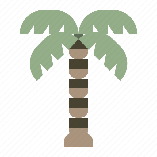 Beach, palmtree, tree, tropical icon - Download on Iconfinder