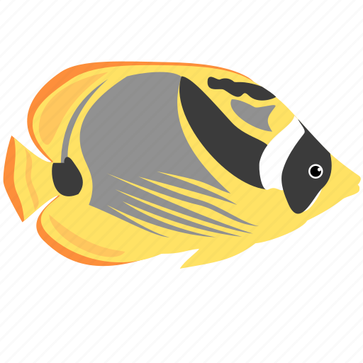 Animal, butterfly, fish, ocean, racoon, reef, sea icon - Download on Iconfinder