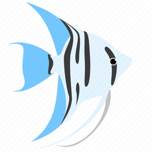Angelfish, animal, blue, ocean, reef, sea, zebra icon - Download on Iconfinder
