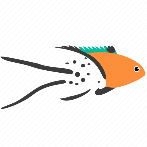 Animal, hogfish, lyretail, ocean, reef, sea icon - Download on Iconfinder