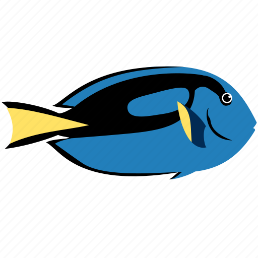 Animal, blue, dory, fish, ocean, sea, tang icon - Download on Iconfinder