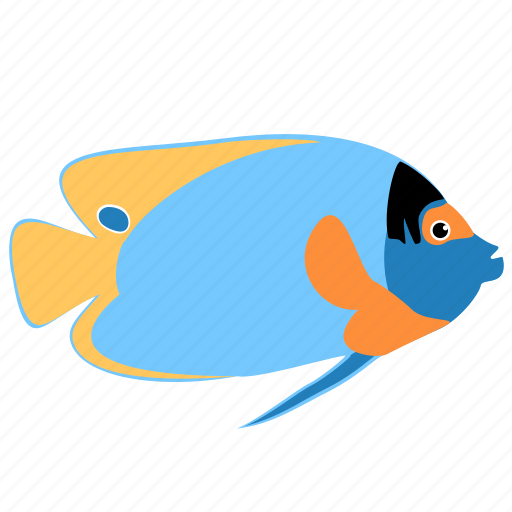 Angelfish, animal, blueface, ocean, reef, sea icon - Download on Iconfinder