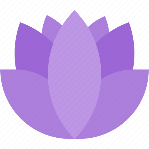 Lotus, flower, beauty, botanical, garden, blossom icon - Download on Iconfinder