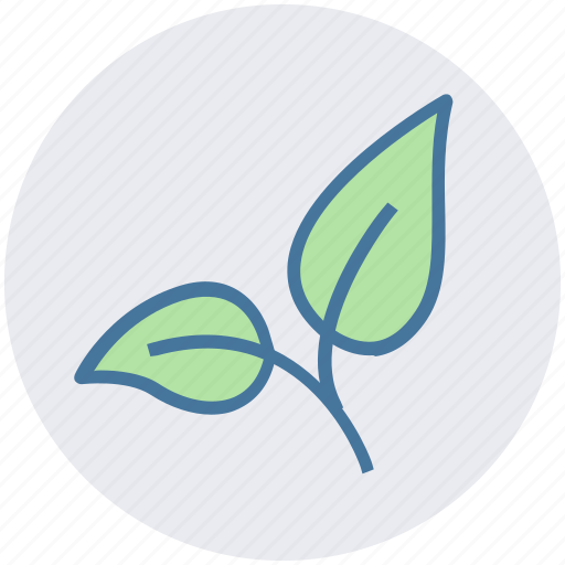 Bio, eco, green, leaf, nature, organic, plant icon - Download on Iconfinder