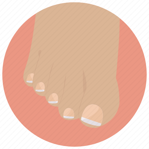 Beauty, foot, nails, pedicure, spa, toes, wellness icon - Download on Iconfinder