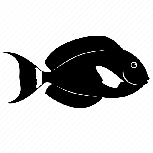 Animal, black, ocean, reef, sea, surgeonfish icon - Download on Iconfinder