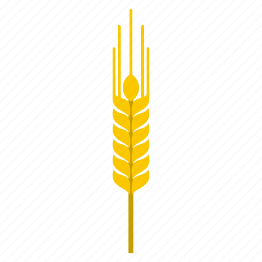 Agriculture, barley, beer, bread, ear, grain, sheaf icon - Download on Iconfinder