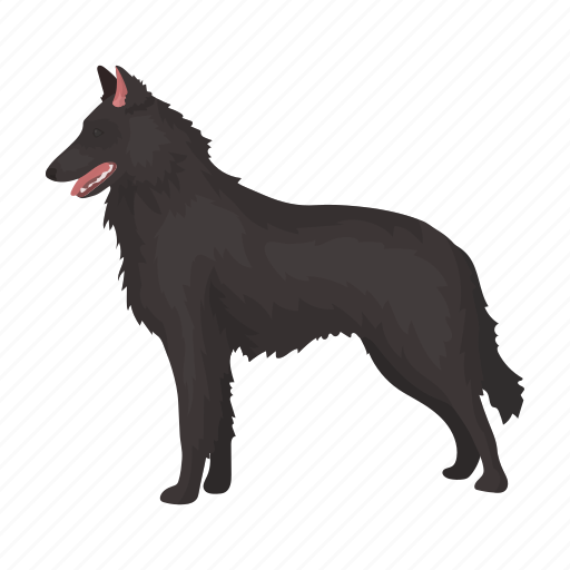Animal, belgian, dog, domestic, mammal, shepherd, zoo icon - Download on Iconfinder
