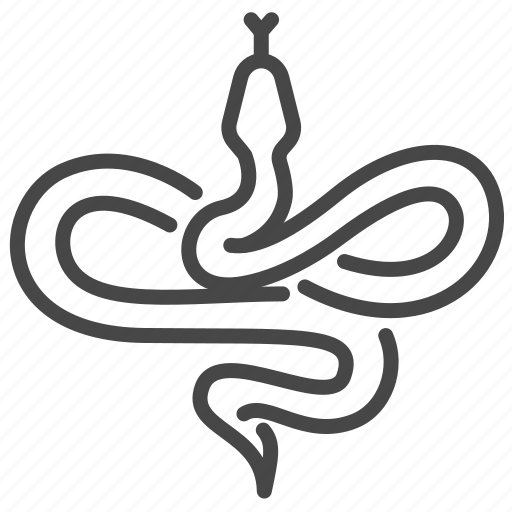 Snake, reptile, animal, python, wild icon - Download on Iconfinder