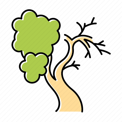Biblical, fig, life, narrative, old, plant, tree icon - Download on Iconfinder