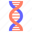 dna, chromosome, genetics, biology, education, sciences, structure 