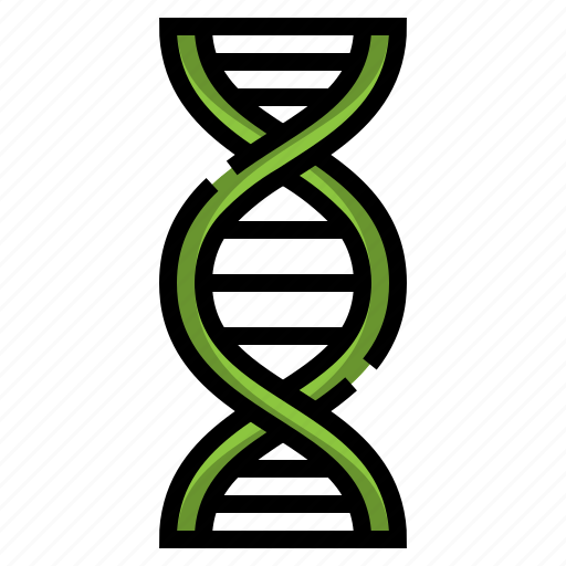 Dna, chromosome, genetics, biology, education, sciences, structure icon - Download on Iconfinder