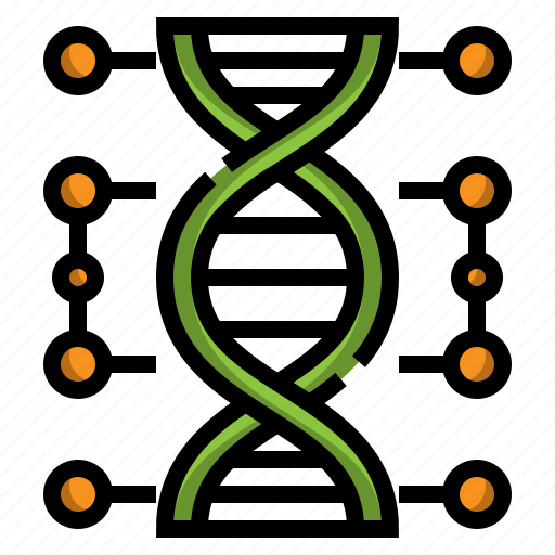 Genetic, chromosome, structure, education, dna icon - Download on Iconfinder