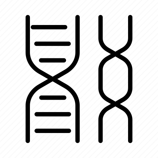 Biology, science, helix, chromosome, body icon - Download on Iconfinder