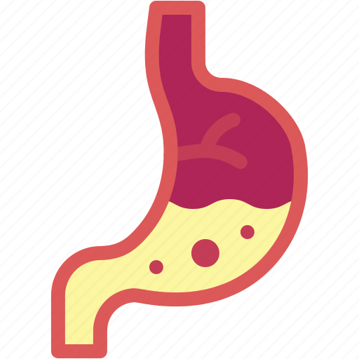 Stomach, organ, healthcare, and, medical, body, part icon - Download on Iconfinder