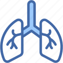 lungs, organ, healthcare, and, medical, biology, body, part
